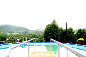 Дикий мед 26