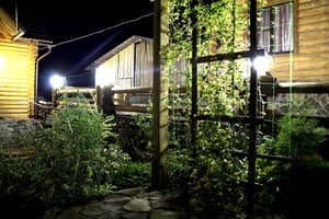 Дикий мед 19