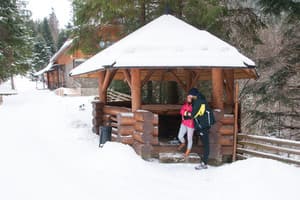 Дикий мед 14