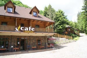 Дикий мед 31