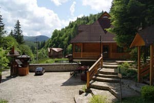 Дикий мед 29