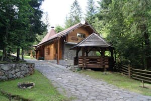 Дикий мед 31