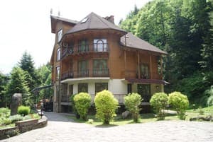 Дикий мед 38