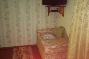 Частная усадьба Димира . Эконом трехместный +1 ребенок 5