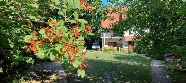 Дивоколо 1