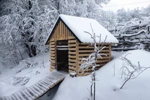 Долина Николая 7