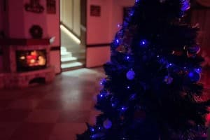 Дом Смереков 9