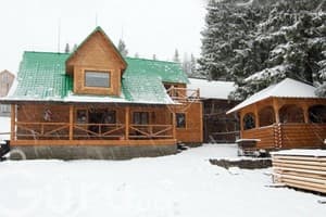 Дом Звиздарюка (Пролисок) 10