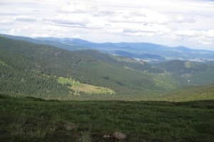 Дом Звиздарюка (Пролисок) 11