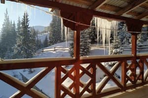 Дом Звиздарюка (Пролисок) 20