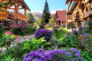 Домик в горах 1