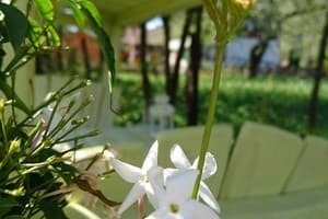 Дорога Домой 3