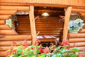 Дорога Домой 13