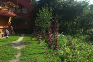 Дорога Домой 14