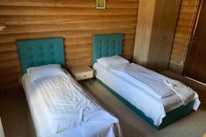 Коттедж Dream Forest. Полулюкс 4-местный  4