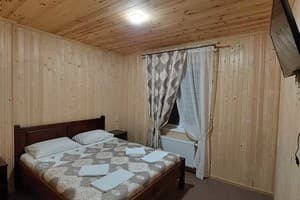 Частная усадьба Два сына и дочь. Эконом двухместный  1