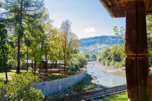 Эдельвейс 13