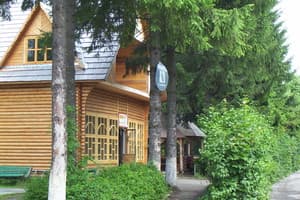 Эдельвейс 15