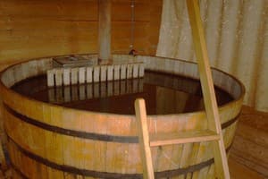 Эдельвейс 19