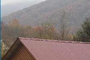 Эдельвейс 7