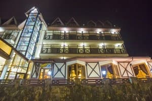 Эдельвейс 10