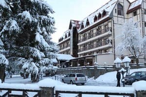 Эдельвейс 3