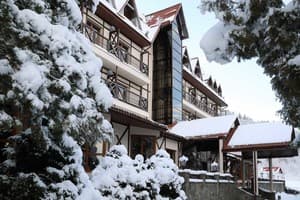 Эдельвейс 1