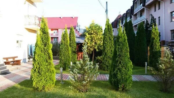 Эдельвейс 2