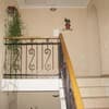 Эдельвейс 12-13/27