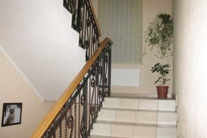 Эдельвейс 4