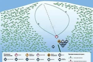 Эдельвейс 9