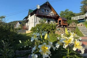 Приватна садиба Едельвейс на Франка. Котедж 4-місний +2 8