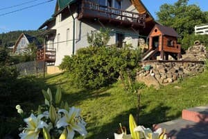 Приватна садиба Едельвейс на Франка. Котедж 4-місний +2 9