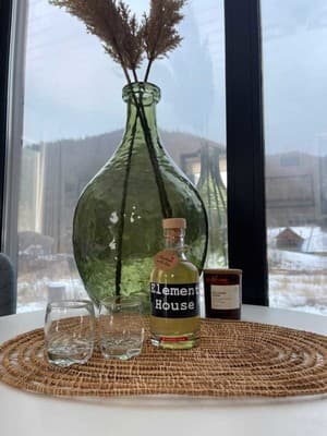 Element House Karpaty 12