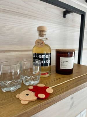 Element House Karpaty 11