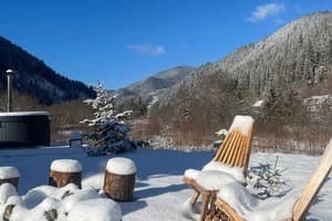 Коттедж Element House Karpaty. Стандарт двухместный  5