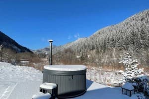 Коттедж Element House Karpaty. Стандарт двухместный  6