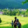 Family Green 21-22/45