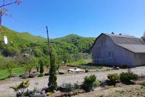 Family House Forest 19