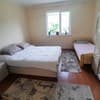 Family House Forest 2-3/21
