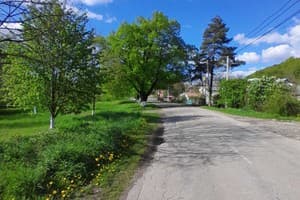 Family House Forest 6