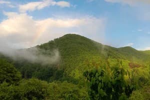 Family House Forest 9