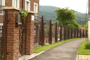 Фавар Карпаты 8