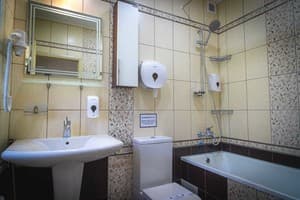 Апарт-отель Фавар Карпаты. Апартаменты двухместный  8