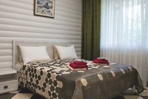 Апарт-отель Фавар Карпаты. Апартаменты двухместный  3