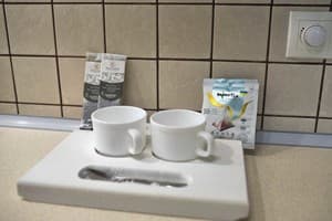 Апарт-отель Фавар Карпаты. Апартаменты двухместный  11