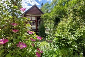 Flower estate 5