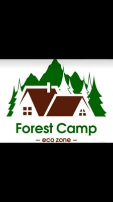 Forest Camp 1