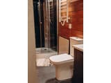 Forest Cliff 26