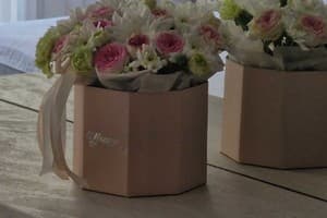 Forest Dream Poliana Apartments 15